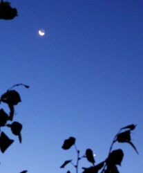 Hold és alul a Vénusz ma hajnalban