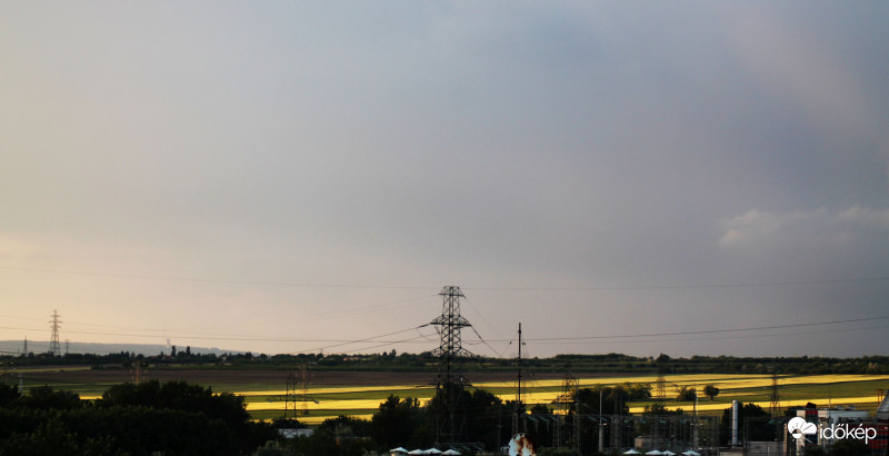 Valami sárgállik a mezőn!