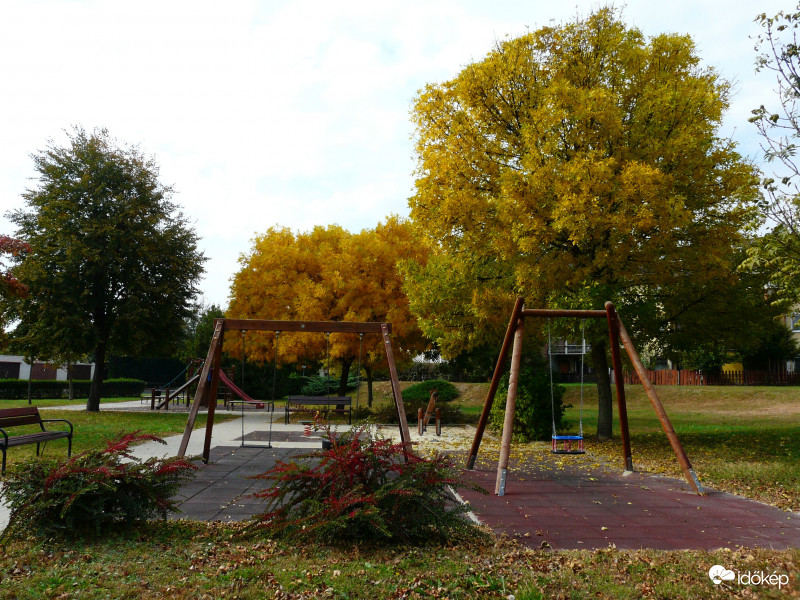 Sárgulnak már parkjaink