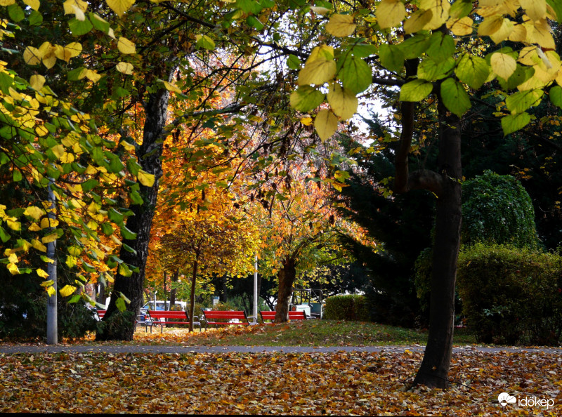 Ősz a parkban