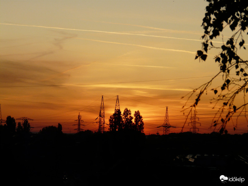 Felsejlő Nap a fák mögött