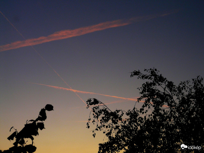 Hajnali találkozások