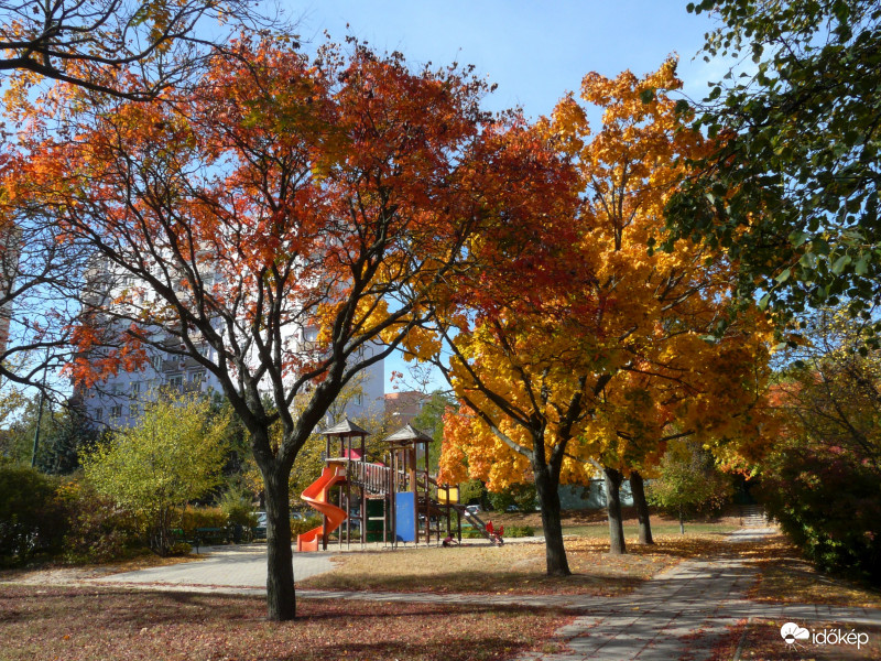Játszótér őszi színekben