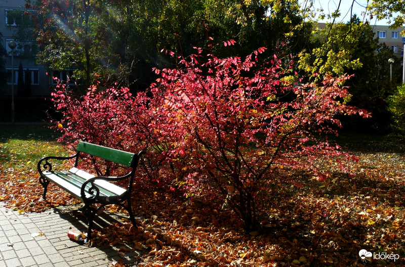 Őszi napsütésben