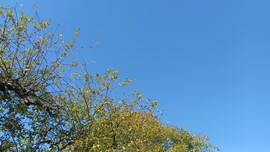 Miskolc