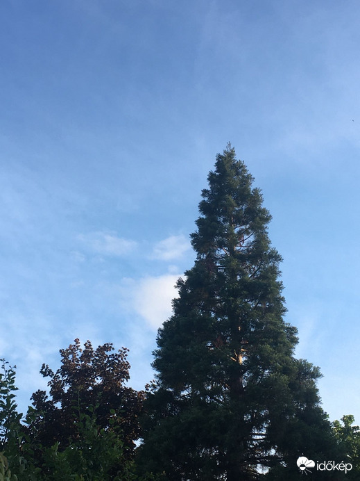 Budapest XVI.ker - Rákosszentmihály