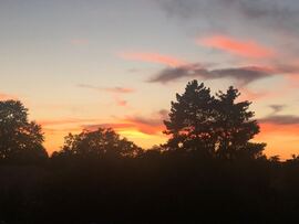 Budapest XVI.ker - Rákosszentmihály