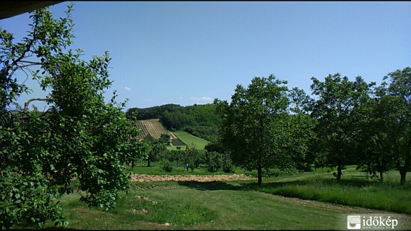 Vindornyaszőlős