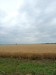 Tiszaörs
