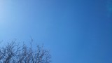 Sarkad