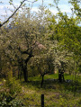 Mátraháza