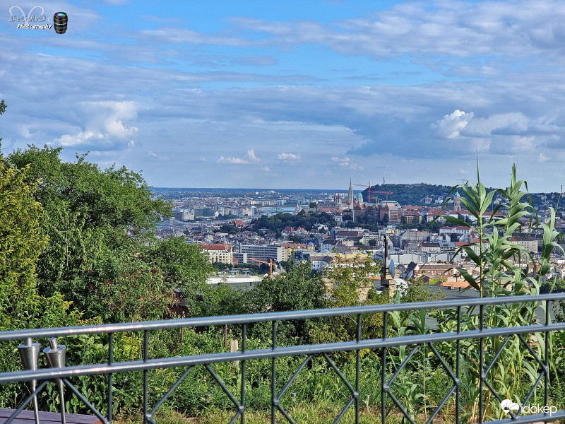 BP Panoráma...