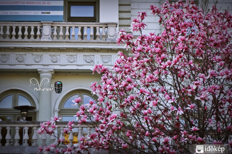 Tavasz van... :)