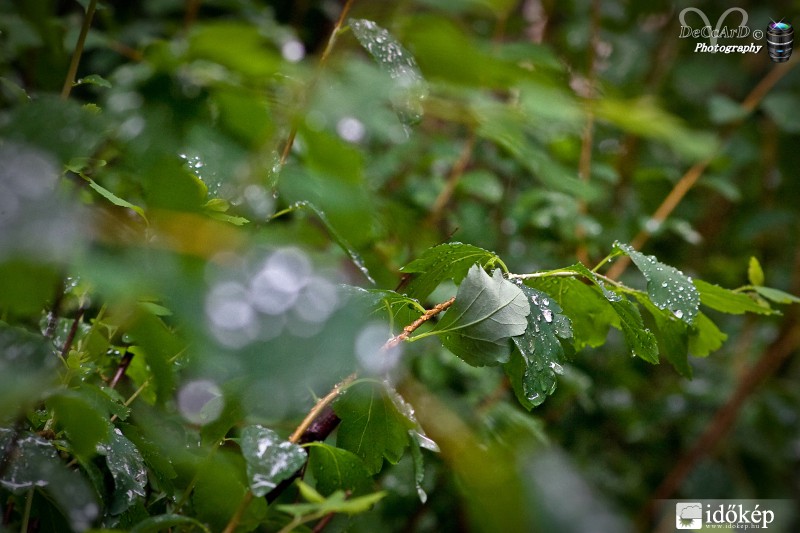 Nem úszta meg szárazon... :)