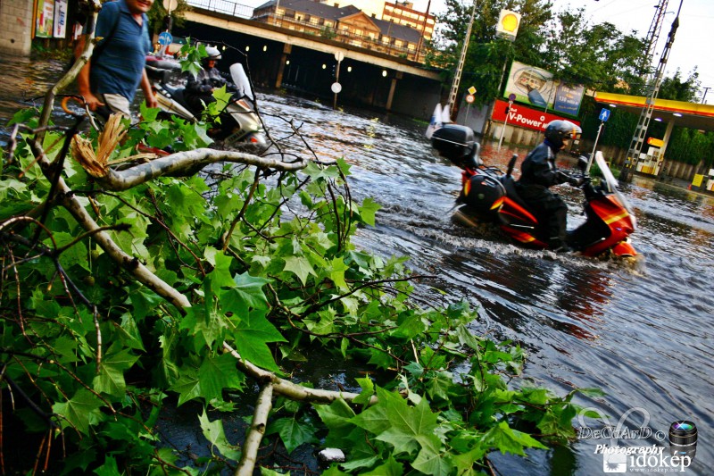 Káósz több fotó Facebook-on.