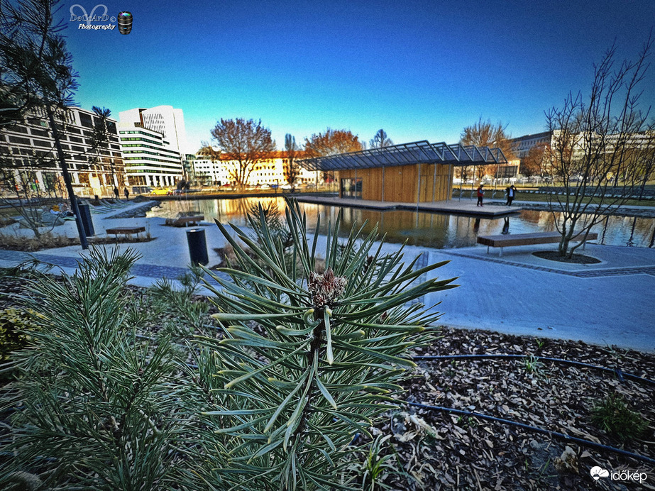 Vizafogó Park 