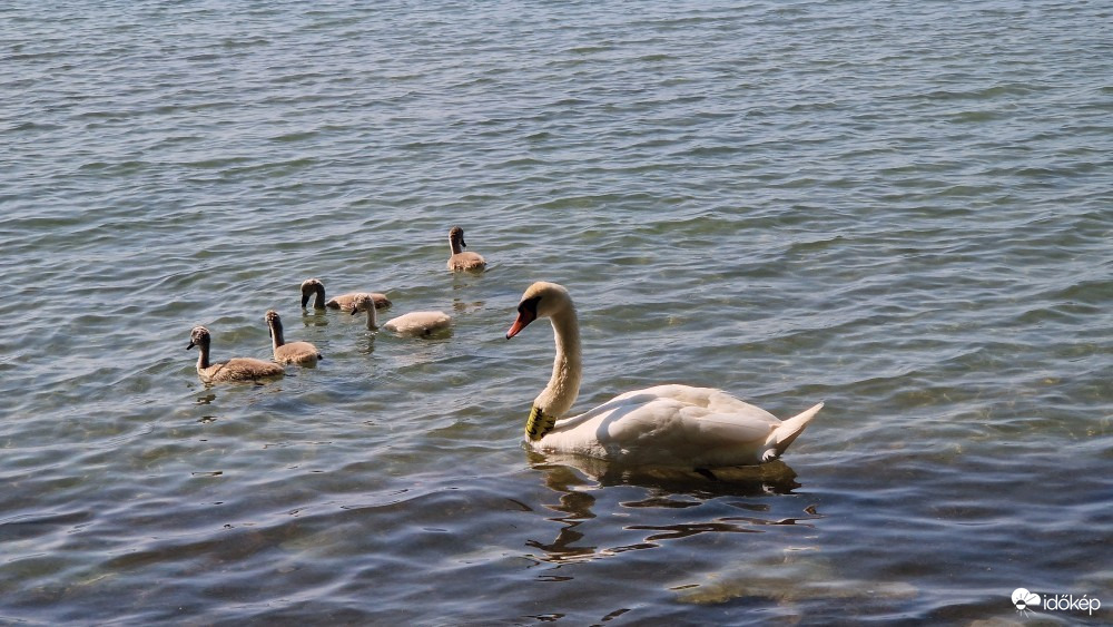Balatonföldvár