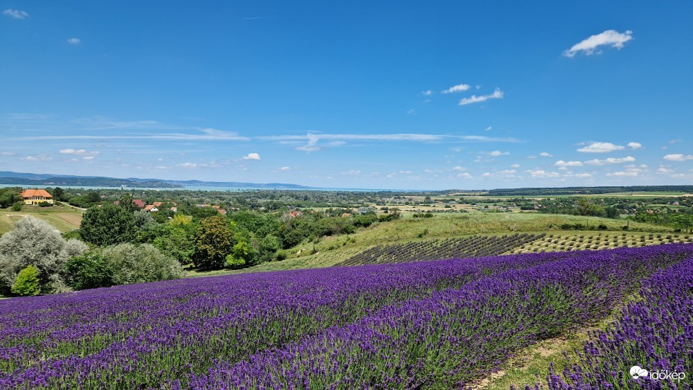 Kőröshegy