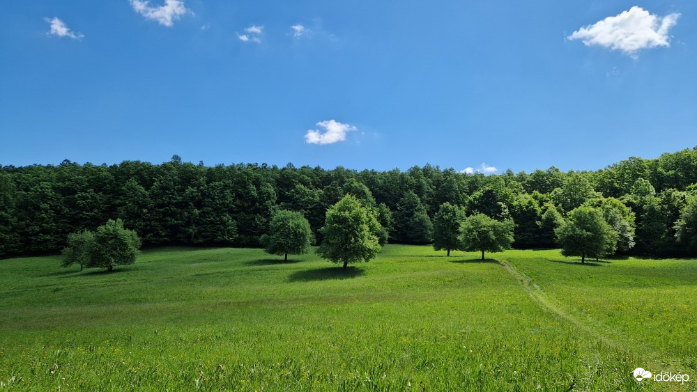 Parád