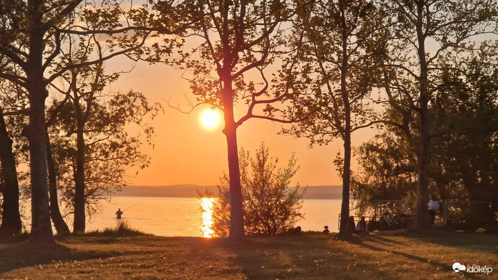 afonya20 fotója