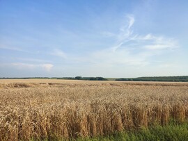 Bükkábrány