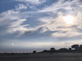 Grado