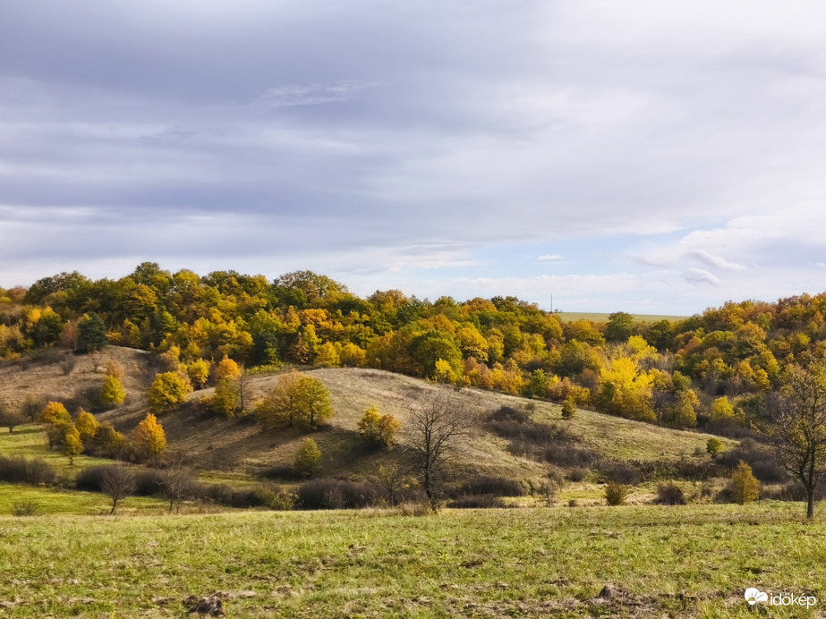 Őszi táj 