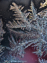 Jégvirág a szélvédőn 