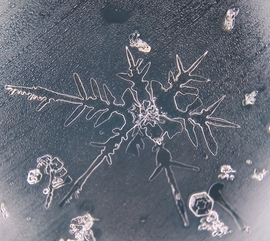 Vízcseppé változó hópihe