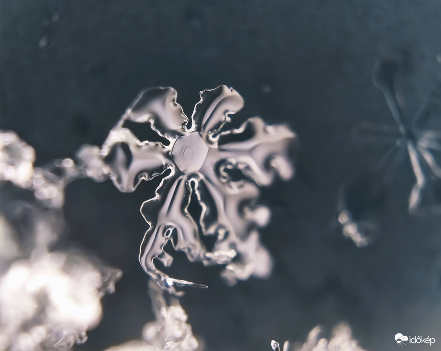 Vízcseppé változó hópihe