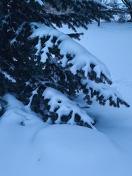 Vastag hó mindenfelé