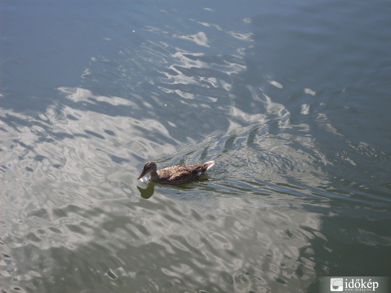 Poroszló-i ökocentrum