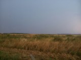 Darvas