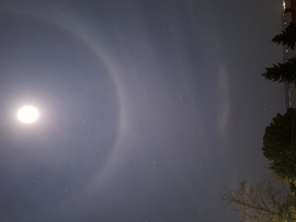 Holdhalo