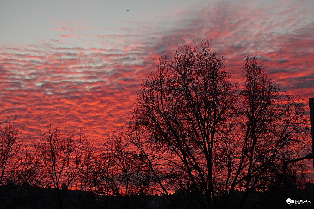 Karácsony második napja...
