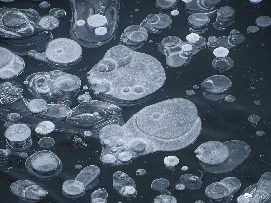 Fagyott buborék a Holt-Marosban