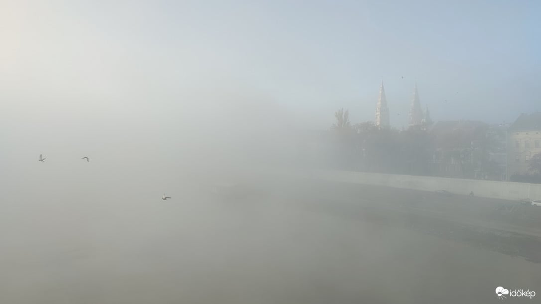 Tiszai ködös reggel 