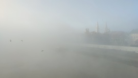 Tiszai ködös reggel 