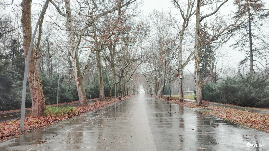 Havas-esős januári... 