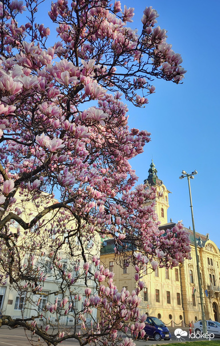 Szegedi tavasz