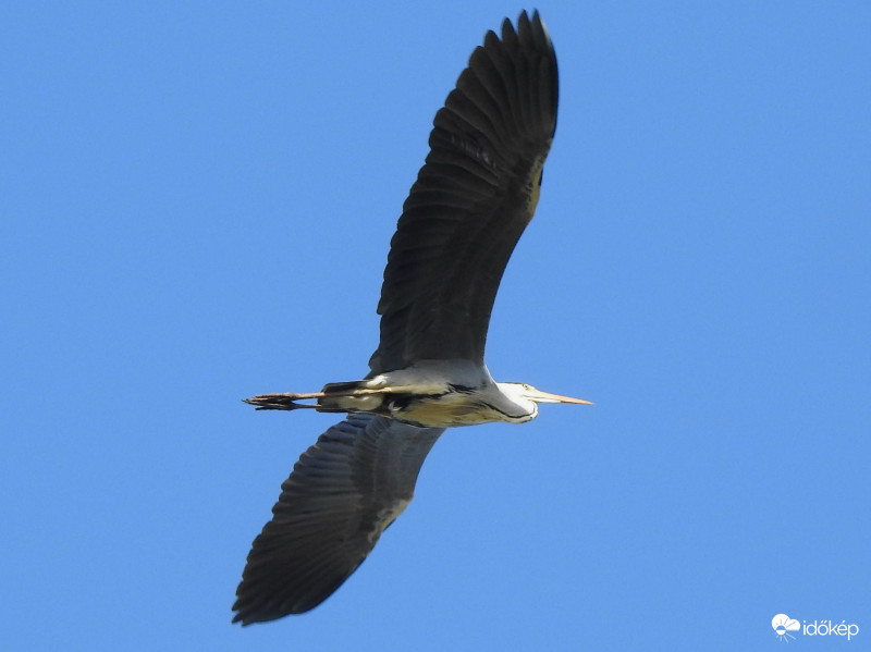 Szép, derült idő volt ma, +17 °C-kal! :))