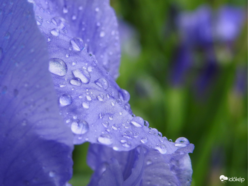 Végre egy kis eső! :)