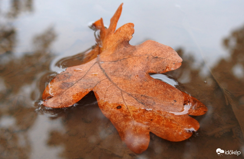 Holnap megint esik...