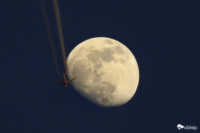 Hold + Qatar Airways :)