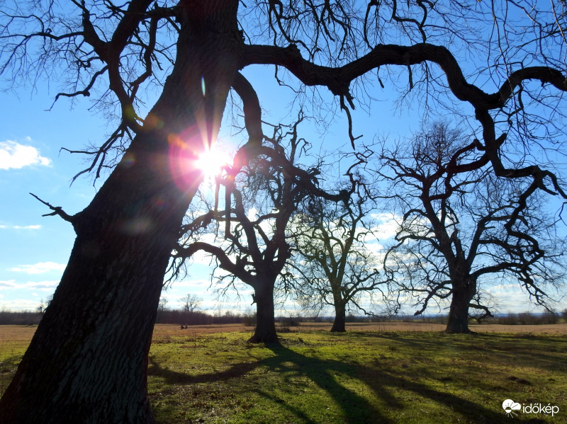 Csodás idő volt ma, 18°C! :)))))