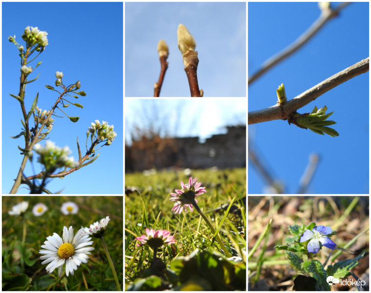 Kora tavasz :))