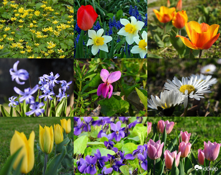 Ezért szép a tavasz! :))