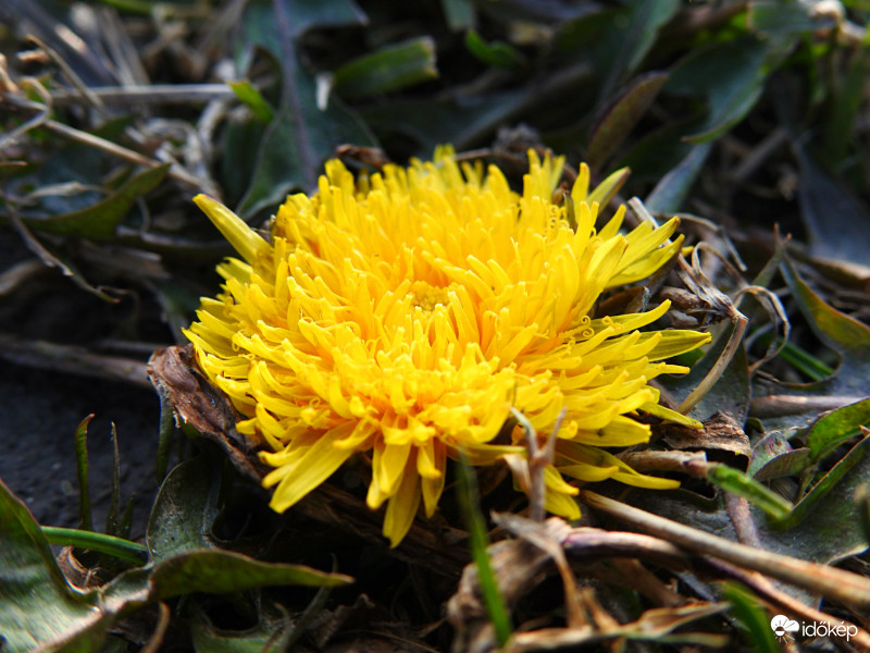 Lassan közeleg a tavasz... :) 