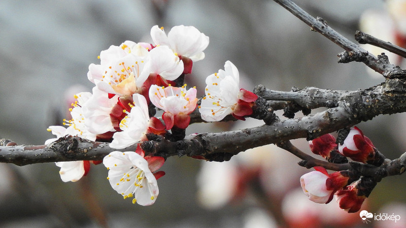 Borús időben is szép :)