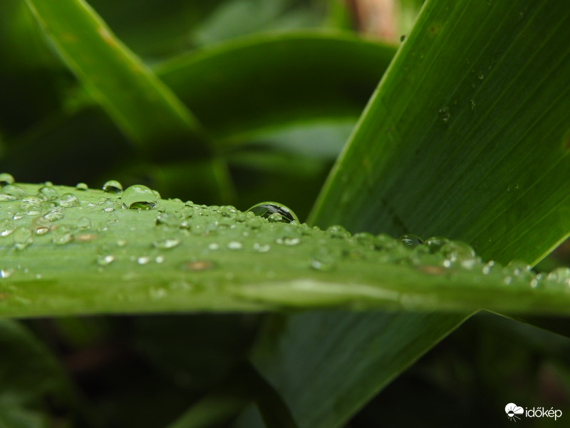 Esik,esik és esik...